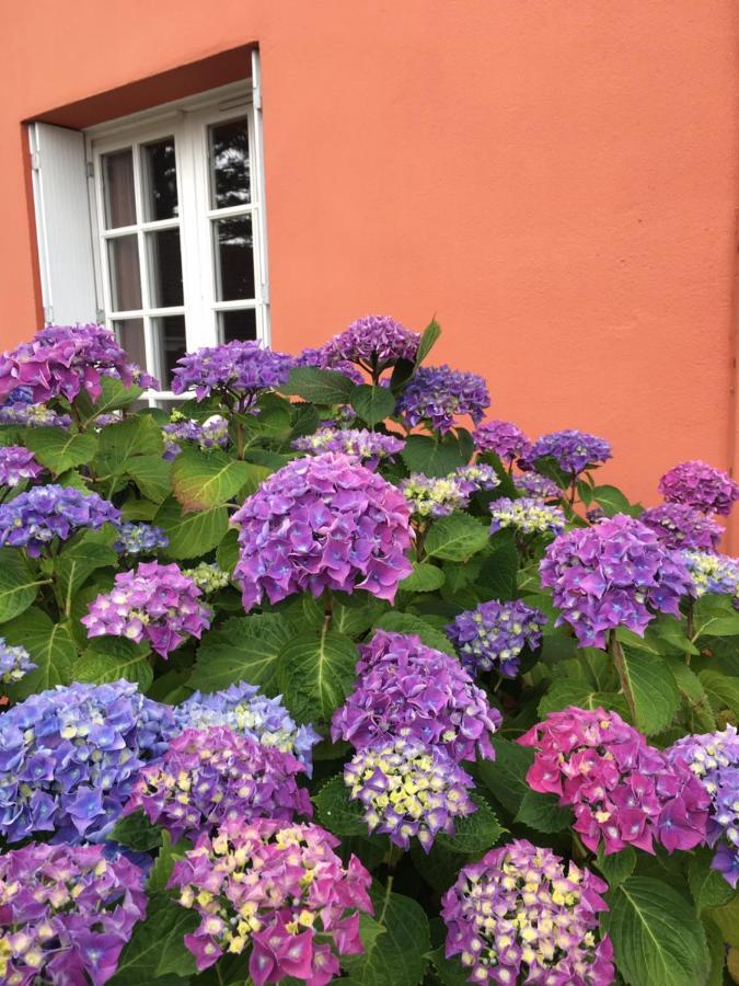 Hotel La Belle Etoile Thouaré-sur-Loire Exterior foto